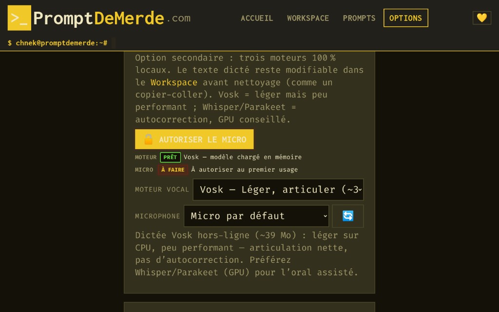 Options — dictée vocale (Vosk, Whisper, Parakeet)