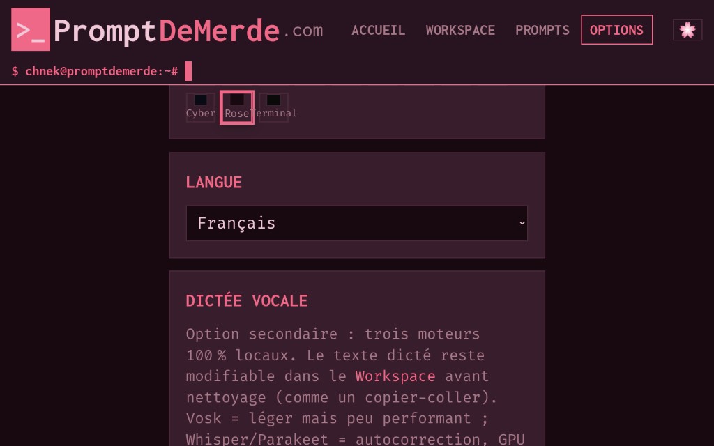 Options — thème et langue