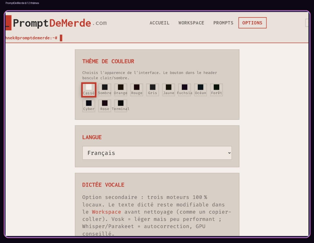 Capture — options (thème, langue, dictée vocale)